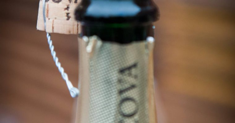 コルくん、モルドバに上陸