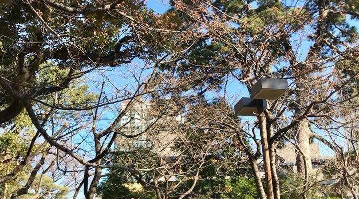 ワインコンプレックス TOKYO 2018